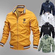 【冬煉製菓】十勝乳奶香風味千層派(添加十勝乳源酥脆千層酥) 歷史價格詳細信息