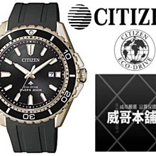 CITIZEN 星辰 水鬼潛水型運動錶(NJ0120-81E)43mm/黑 歷史價格詳細信息