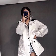 《巴黎拜金女》peekaboo中貓FENDI 襯蛇皮 兩用包33CM 中號 歷史價格詳細信息