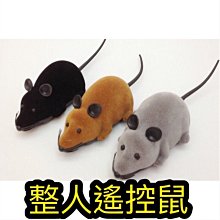 老鼠喝貓奶 (粉版) 龍婆塔 龍婆TA 龍普塔 【泰國精品】已開光加持泰國佛牌 歷史價格詳細信息