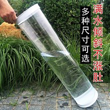 浮漂米極江湖夜光漂日夜兩用鯽魚電子漂羅非魚漂輕口細尾底釣土鯪魚漂 歷史價格詳細信息