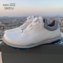 Ecco 高爾夫球鞋 Golf S-Three Gore-Tex 男鞋 防水 GTX 灰 綠 休閒 運動鞋 10290401379 歷史價格詳細信息