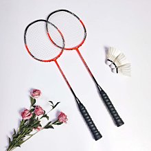 羽毛球拍耐打碳素進攻型成人學生兒童雙拍套餐 歷史價格詳細信息