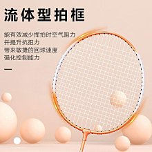 羽毛球拍雙拍套裝成人學生初學訓練超輕減震防滑拍 歷史價格詳細信息