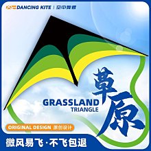 年新款濰坊風箏國潮大型金魚兒童風箏大人專用微風易飛卡通 歷史價格詳細信息