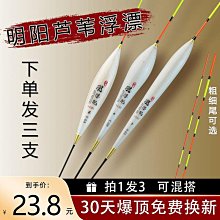 浮漂高靈敏蘆葦漂輕口弱口鯽鯉行程浮標浮漂加粗尾醒目蘆葦漂精品 歷史價格詳細信息