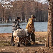 Naturehike 天野便攜鋁合金三段式可調折疊躺椅 釣魚椅 休閒椅 附收納袋 黑色 歷史價格詳細信息