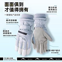 手套女士秋冬加絨加厚保暖騎行防寒開車可愛觸屏棉手套冬天防風H 歷史價格詳細信息