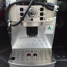 【SAEKO】迪士尼成人顆粒矽膠泳帽  DISNEY 米白 黃 歷史價格詳細信息