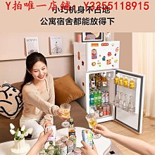 冰熊小冰櫃家用小型全冷凍小冰箱迷妳急凍母乳儲奶立式速凍櫃側開 歷史價格詳細信息