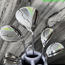 正品進口高濃縮PEA燃油寶除積碳清洗劑三元催化劑汽油添加劑節油寶汽油精 汽車油精 三元除碳 積碳清洗 除積碳 L-雅緻家居 歷史價格詳細信息