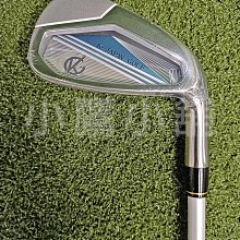 [小鷹小舖] Parsons Xtreme Golf PXG 0311 高爾夫 挖起桿 多樣化桿底設計 銑削凹槽 '21 歷史價格詳細信息