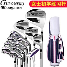 源頭廠高速吹風機4億負離子電吹風家用智能溫控護髮低音電吹風筒 歷史價格詳細信息