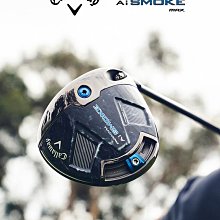 24新款高爾夫球鞋男士golf運動鞋DISRUPTOR休閒運動防滑舒適 歷史價格詳細信息