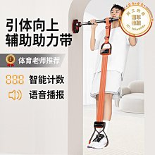 引體向上助力帶男中考學生輔助帶健身器材阻力帶單槓拉力繩彈力帶 歷史價格詳細信息