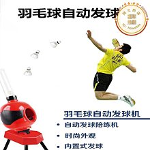 -網球訓練器單人打自練回彈神器初學者大學生羽毛球網球拍套裝『LOLA創意家居』 歷史價格詳細信息