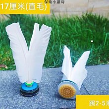 雞毛毽太倉新健牌新品牛津底皮毽球鞋比賽健身減肥學生考試專用鞋 新品 歷史價格詳細信息