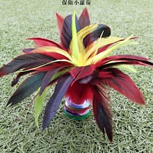 雞毛毽太倉新健牌新品牛津底皮毽球鞋比賽健身減肥學生考試專用鞋 新品 歷史價格詳細信息