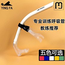 道群遊泳衣女夏連體三角修身聚攏溫泉高級感2023新款性感運動時尚 歷史價格詳細信息