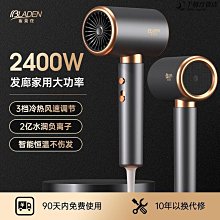 布萊登電吹風機家用大功率理髮店髮廊負離子護髮風筒 歷史價格詳細信息