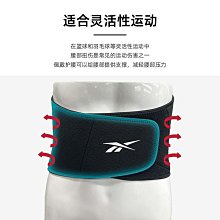 Reebok銳步狗狗牽引繩中型大型犬遛狗繩項圈金毛邊牧杜賓寵物狗鏈 歷史價格詳細信息
