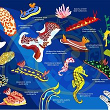 台灣潛水---OCEANARIUM 二級頭咬嘴固定器 歷史價格詳細信息