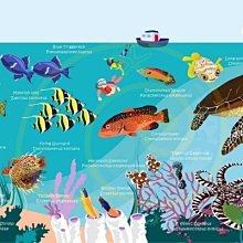 台灣潛水---OCEANARIUM 二級頭咬嘴固定器 歷史價格詳細信息