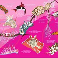 台灣潛水---OCEANARIUM 二級頭咬嘴固定器 歷史價格詳細信息