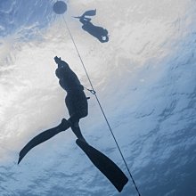 PADI Open Water Diver Course 開放水域潛水員課程 歷史價格詳細信息