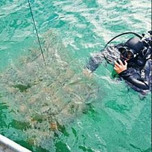 【打撈磁鐵】 42MM 圓形打撈強磁鐵 (附贈線) 歷史價格詳細信息