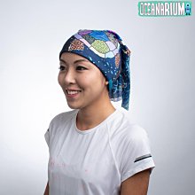 台灣潛水---OCEANARIUM 二級頭咬嘴固定器 歷史價格詳細信息