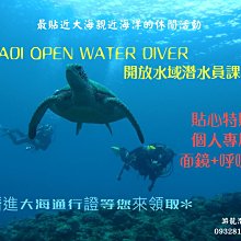 游龍潛水✴WATER BREATHE 自由潛水下潛繩 1米長 (A款) 歷史價格詳細信息