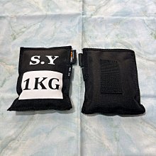 台灣潛水---1KG環保鉛塊 歷史價格詳細信息