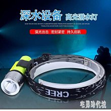 專業潛水強光手電筒IPX8級防水可充電鋁合金水下超亮遠射水陸兩用 歷史價格詳細信息
