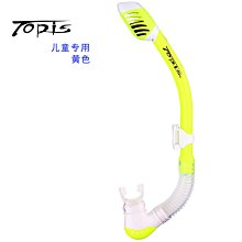 特賣-浮潛裝備  全干式呼吸管 潛水裝備 水上用品 呼吸器 歷史價格詳細信息