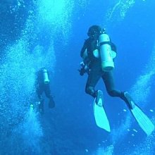 《三更半夜試演會 (特價書)》ISBN:9573311992│皇冠文化│宋明清, 赤川次郎, more│ 歷史價格詳細信息