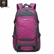 背包 男雙肩包 旅行包 大容量書包 女戶外運動防水登山包 男輕便行李包P莎莎戶外運動 歷史價格詳細信息