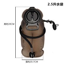 TPU食品級戶外休閒用品吸管飲水袋-2L(加厚 提水袋 折疊水袋 露營 路跑 水壺 運動水袋 登山水袋) 歷史價格詳細信息