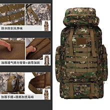 戶外運動登山包80+5升大容量旅行雙肩背包露營徒步帳篷裝包防潑水 歷史價格詳細信息