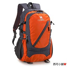 駱駝Camel Crown戶外加厚帶帽式中空棉保暖抗寒睡袋 棕紅 右 歷史價格詳細信息