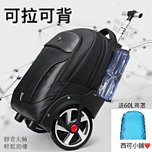 商務大五格一次性餐盒PP帶蓋食堂塑料外賣加厚打包盒150套/箱 歷史價格詳細信息