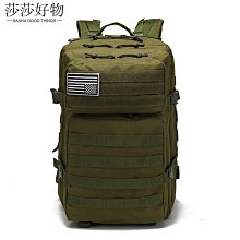 防水 大容量 戶外背包 運動旅遊60L40L登山包 雙肩包 旅行包 歷史價格詳細信息