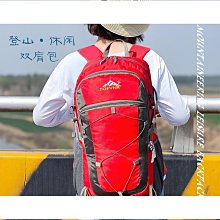 登山包旅行雙肩包輕便大容量戶外運動徒步登山包輕便運動背包 歷史價格詳細信息