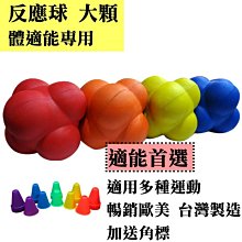六爻預測的因果世界 平裝 (王虎應、劉鐵卿)978-986-99635-8-9 yulinpress育林出版社 歷史價格詳細信息