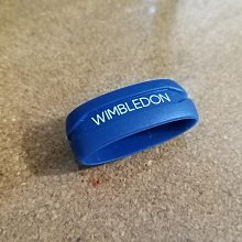 (布丁體育)高級瑜珈彈力帶 (台灣製) 伸展帶  拉筋帶  另賣 瑜珈墊  握力器 /健腹輪/伏地挺身架 0.5mm 歷史價格詳細信息