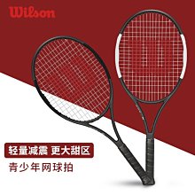 下殺-網球拍Wilson威爾勝新款費德勒碳素專業小黑拍pro staff97網球拍V13 歷史價格詳細信息