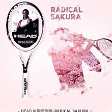 下殺-網球拍新款維爾勝6支裝多功能網球包網球拍包雙肩背包羽毛球包手提拎包 歷史價格詳細信息