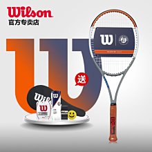 Wilson維爾勝美式橄欖球正品青少年學生兒童成人9號7653號NFL訂製 QUSP 歷史價格詳細信息