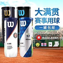 網球 Wilson威爾勝 網球 威爾遜訓練球 無壓練習球WRT13600 歷史價格詳細信息
