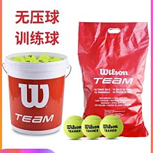 Wilson威爾勝無壓網球羊毛練習單雙人訓練比賽耐打高彈性10個包郵~特價 歷史價格詳細信息